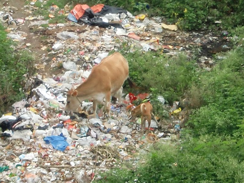 India Trip - July 2010 011.jpg